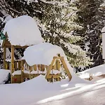 Zillertal Arena 1 Holiday home