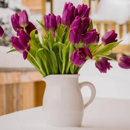 Zillertal Arena 1 Hochkrimml